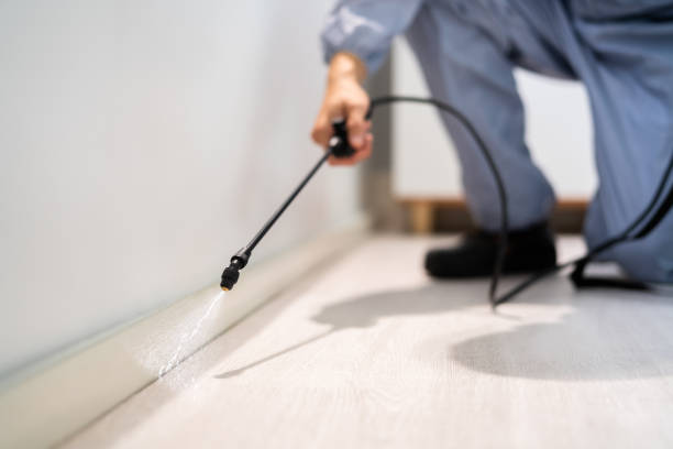 Bed Bug Pre-Treatment Preparation Assessment in Pascoag