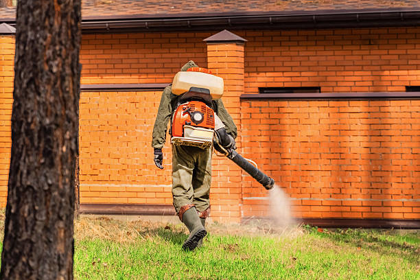 Bed Bug Clearance Verification and Documentation in Pascoag